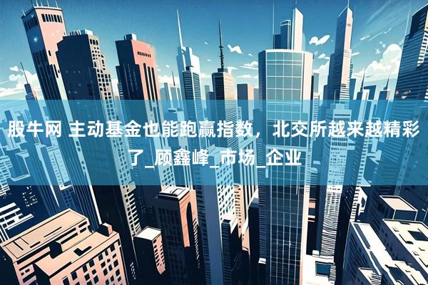 股牛网 主动基金也能跑赢指数，北交所越来越精彩了_顾鑫峰_市场_企业