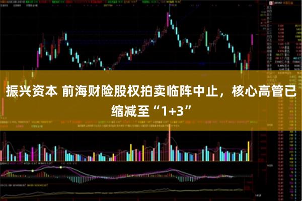 振兴资本 前海财险股权拍卖临阵中止，核心高管已缩减至“1+3”