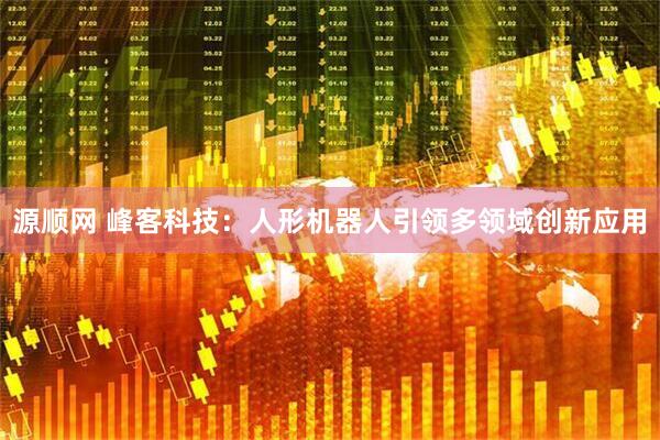 源顺网 峰客科技：人形机器人引领多领域创新应用