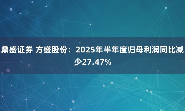 鼎盛证券 方盛股份：2025年半年度归母利润同比减少27.47%