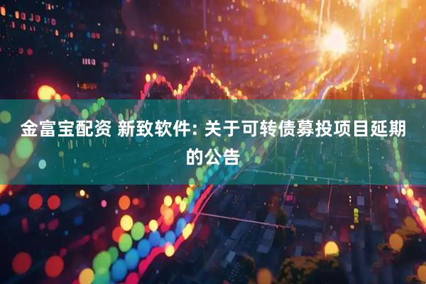 金富宝配资 新致软件: 关于可转债募投项目延期的公告