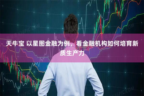 天牛宝 以星图金融为例，看金融机构如何培育新质生产力