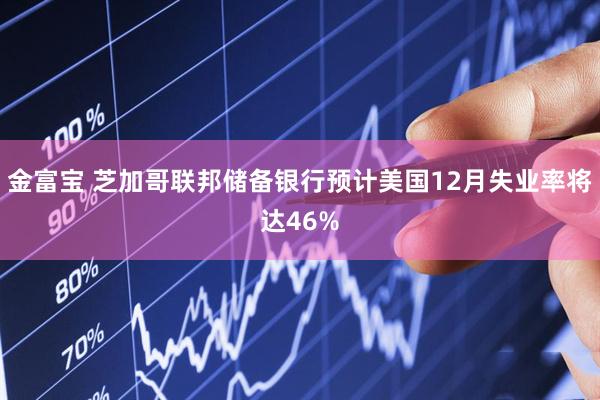 金富宝 芝加哥联邦储备银行预计美国12月失业率将达46%
