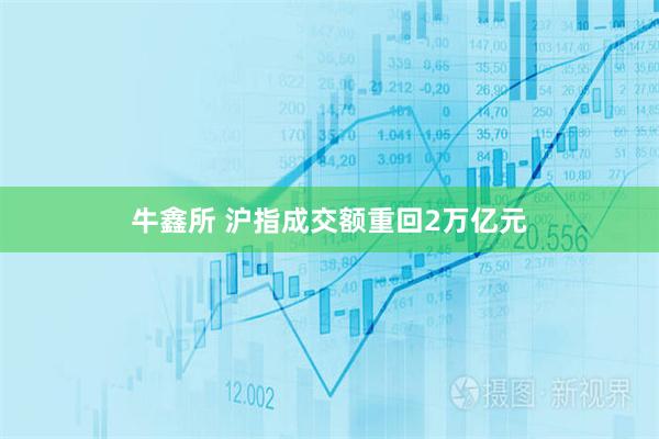 牛鑫所 沪指成交额重回2万亿元